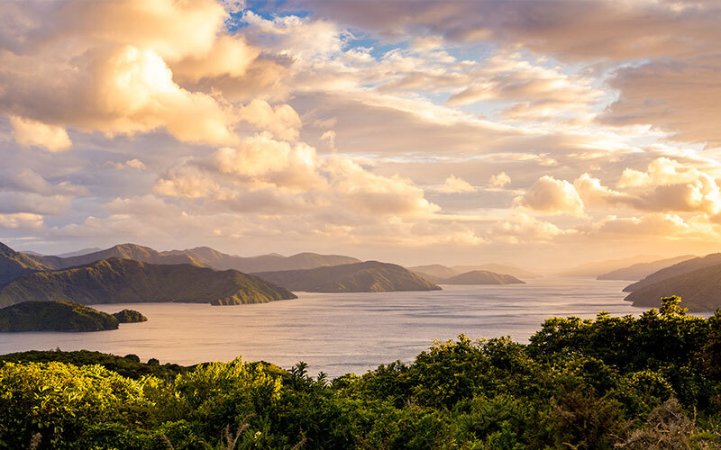 Picton