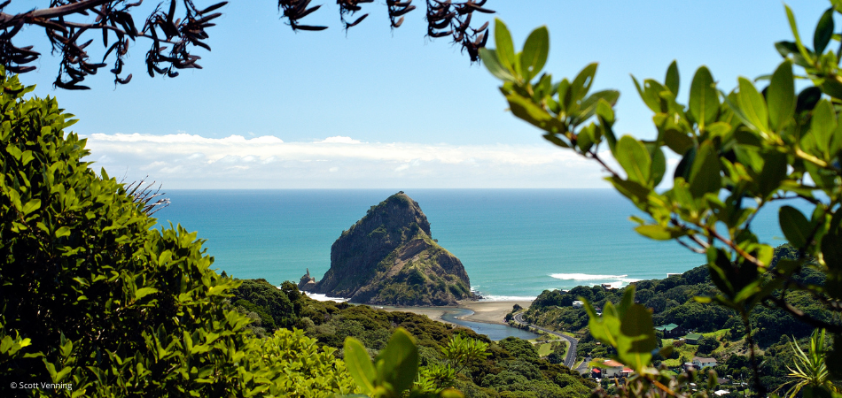 Piha Beach