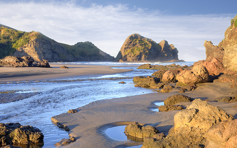 Explore Piha Beach Explore Piha Beach
