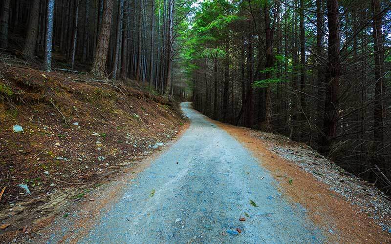 Tiki Trail, Skyline Gondola, Queenstown