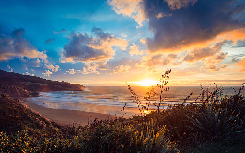Raglan Beach