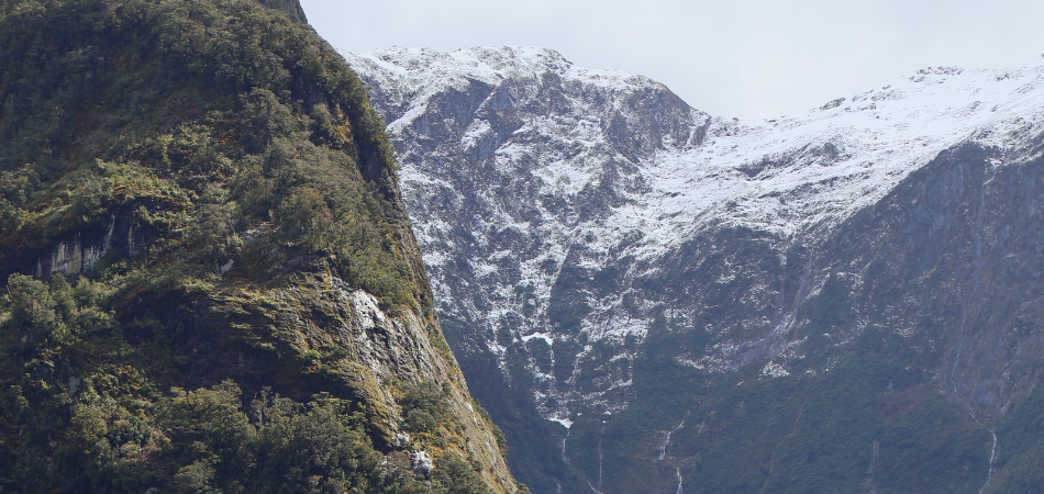 Glacier Views