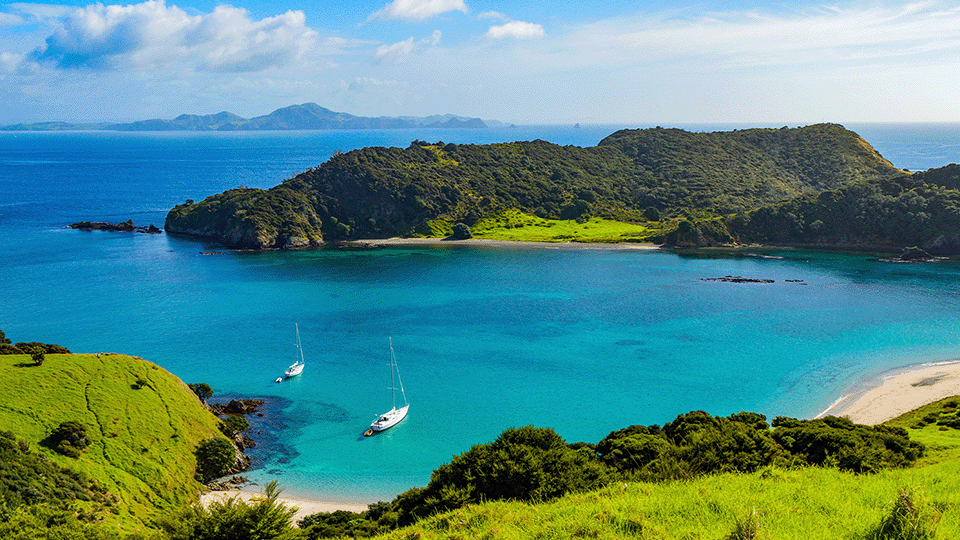 Summer time at the Coromandel