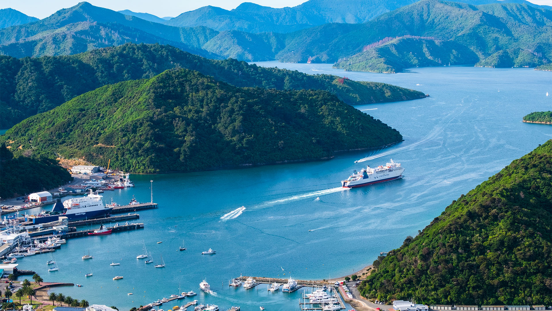 An aerial view of the Marlborough Sounds