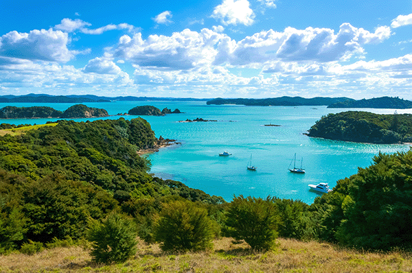 Bay of Islands