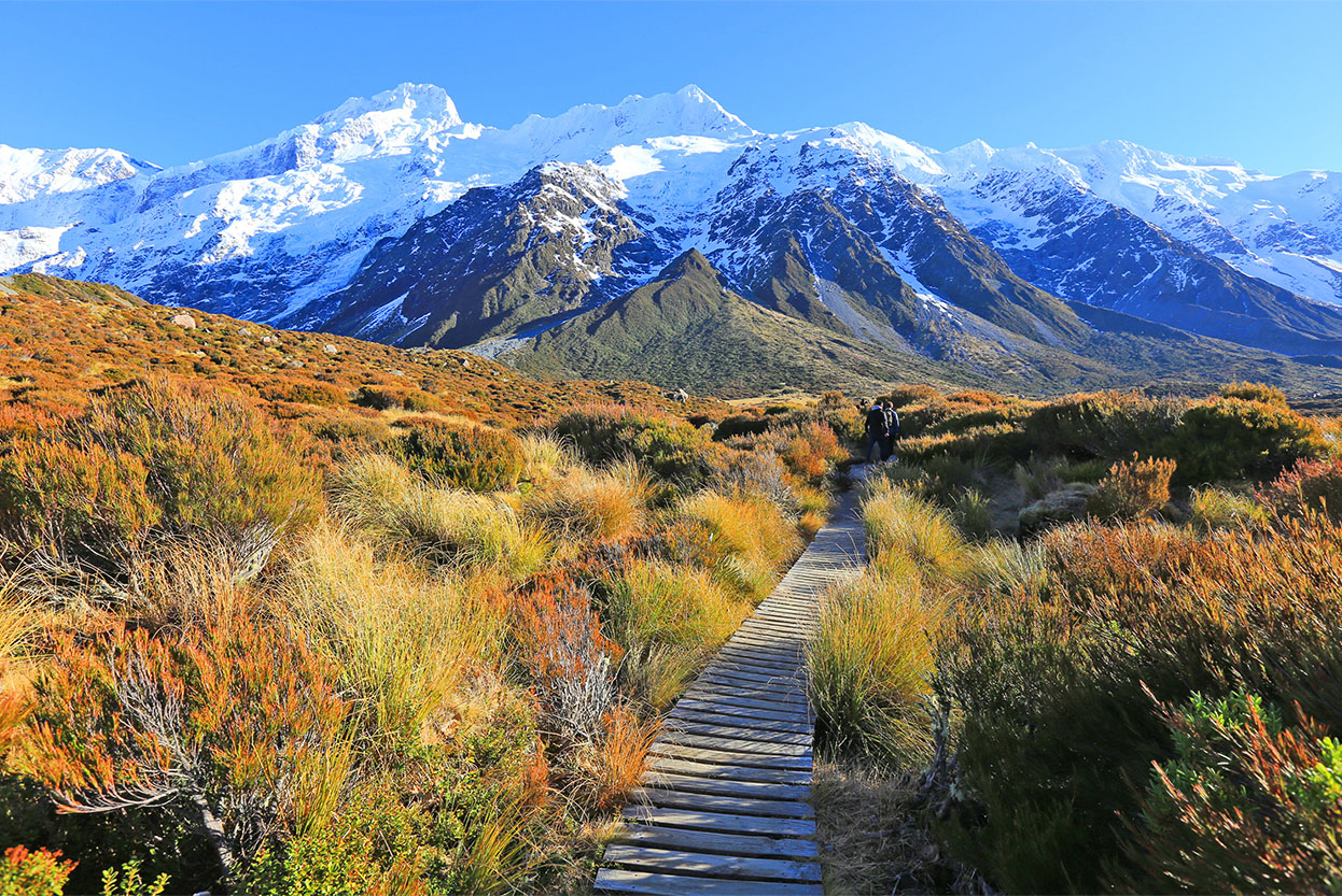 A path in Mt Cook National Park maintained by the Department of Conservation