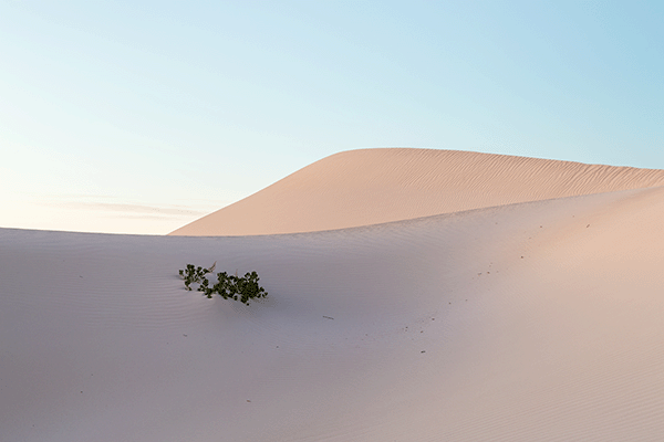 Te Paki Sand Dunes, North Island New Zealand