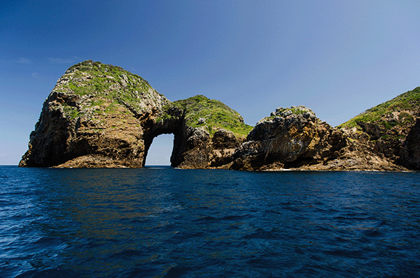 Poor Knights Island, Bay of Islands