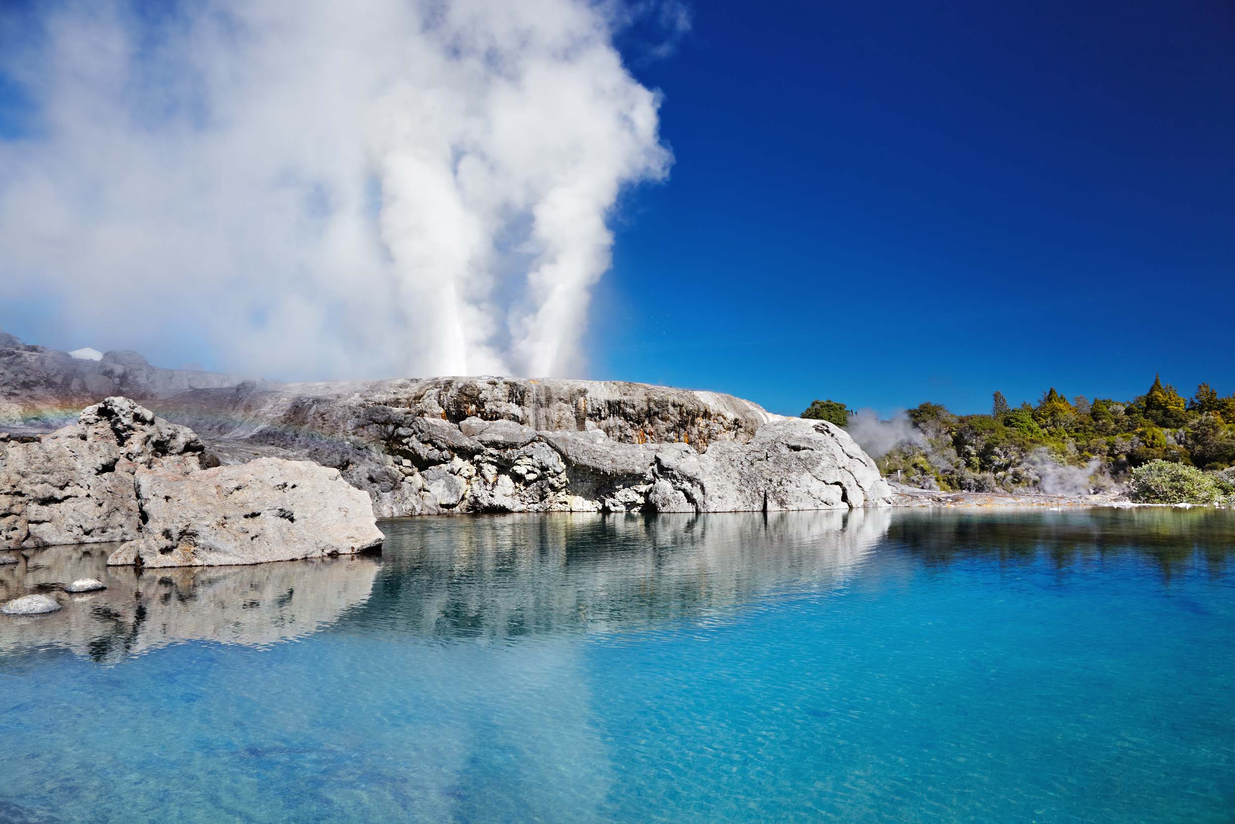 Experience hot pools at Rotorua, New Zealand