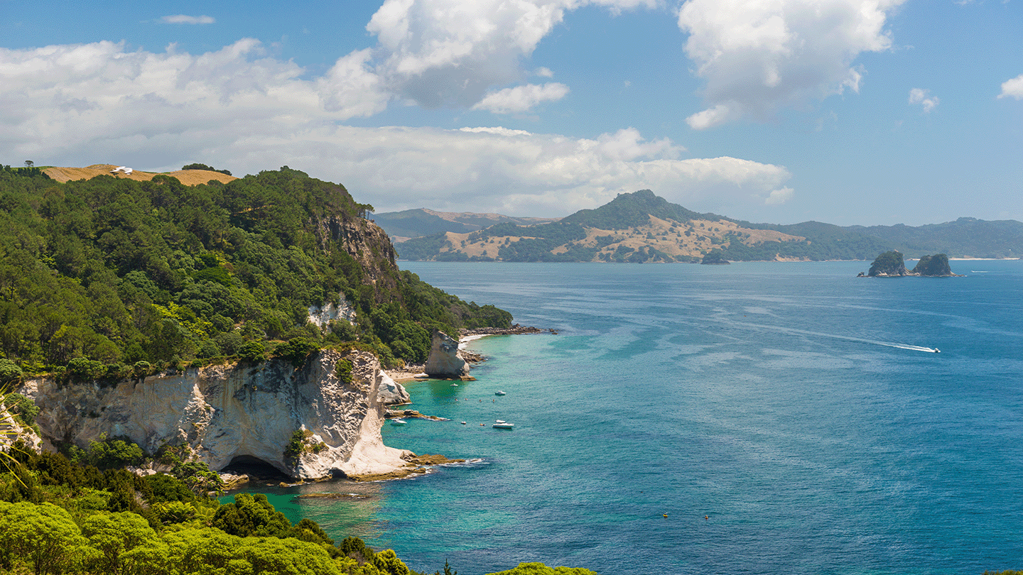 Cathedral Cove from above