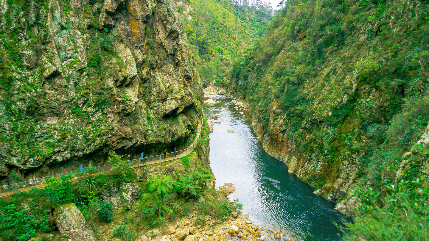 Karangahake Gorge