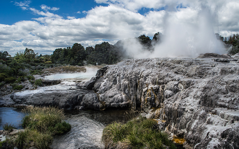 Te Puia Geothermal Pools Te Puia Geothermal Pools