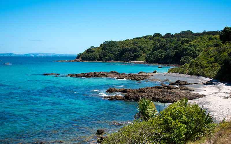 Coastal view of Tiritiri Matangi Island Tiritiri Matangi Island, New Zealand