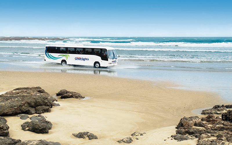 NZ beach activities tour down 90 Mile Beach