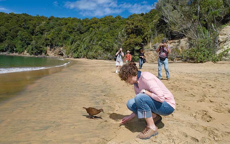 Ulva Island tour, off Stewart Island