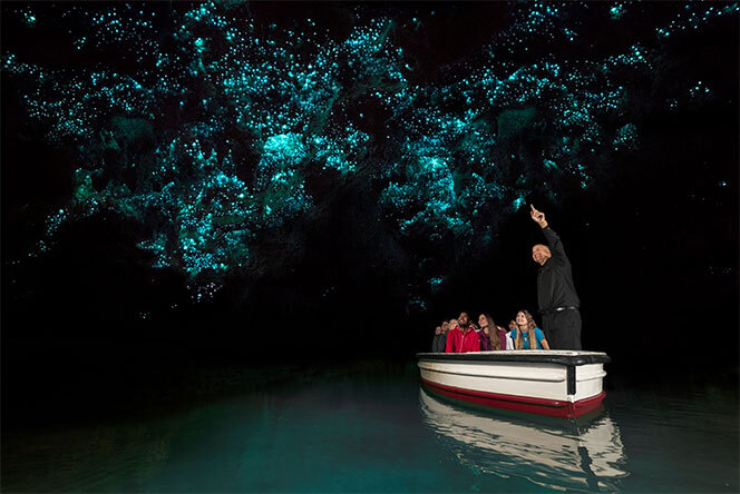 Boat Trip in the Glowworm Grotto, Waitomo