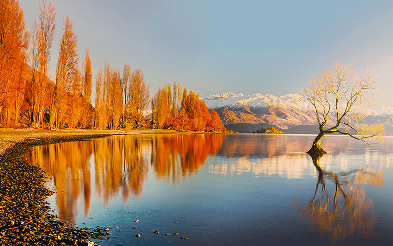 Wanaka