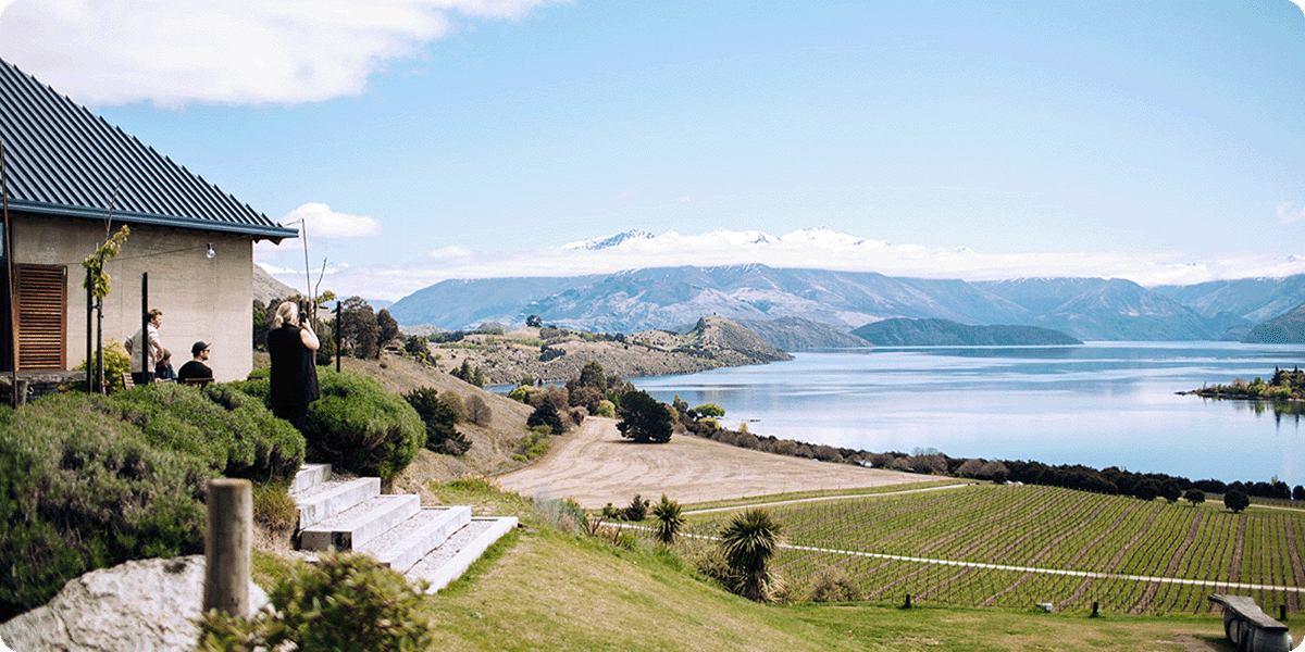 View from Rippon Winery, Wanaka