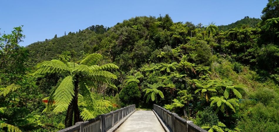 Whanganui National Park