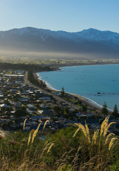 Coastal town nestled between blue ocean and mountains