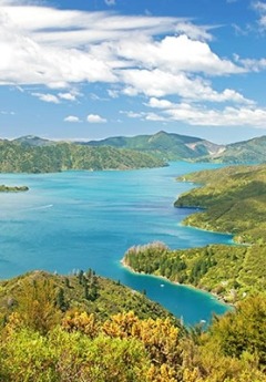 The rolling green hills and deep blue waters of the Marlborough Sounds.