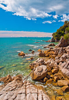 View of a costline in Abel Tasman National Park, New Zealand