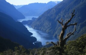 Doubtful Sound from above