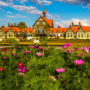 Image of Rotorua Town Hall and pink flowers in front