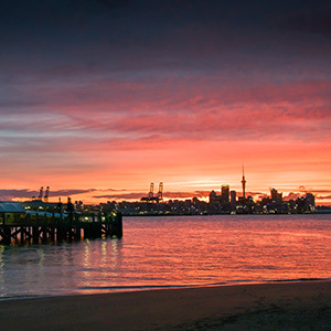 Auckland Skyline