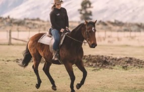 Real Country farm experience