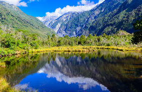 Glacial Lake near Franz Josef