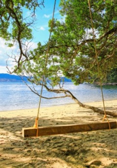 A wooden swing hangs from a tree over a sandy beach.