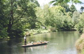 Punting on the Avon