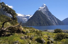 Mitre Peak, Milford Sound/Piopiotahi