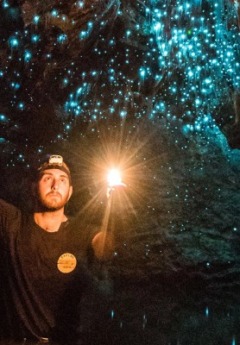 A tour guide holds a light, illuminating a cave ceiling covered in glow worms.