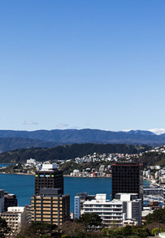 Looking over Wellington City landscape