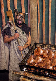 Maori man is preparing Hangi during the cultural experience