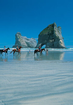 Horse riding Wharariki Beach, Nelson