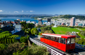 Wellington Views