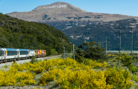 TranzAlpine train