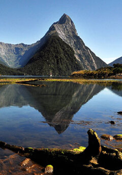 scenic view of Milford Sound and towering mountains in Fiordland National Park