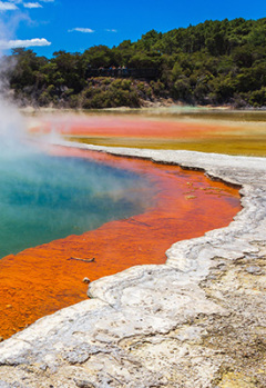 Steaming Champagne hot pool in Rotorua geothermal reserve