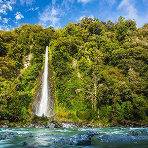 Thunder Creek Falls, Haast Pass