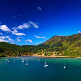 See the beautiful Whatamango Bay as you travel through the Marlborough Sounds