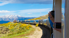 The TranzAlpine train through Arthurs Pass