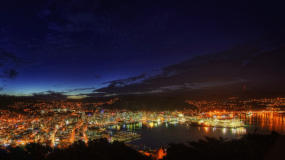 Wellington night lights