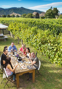 Group of friends having lunch on the Vineyard