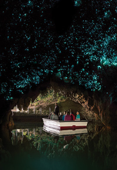 Waitomo glowworm caves