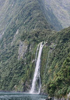 Lady Bown Falls in Milford Sound