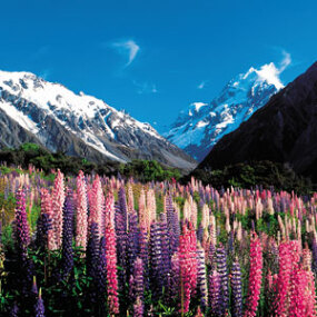 Mt Cook